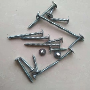 Truss head philips sharp point screw